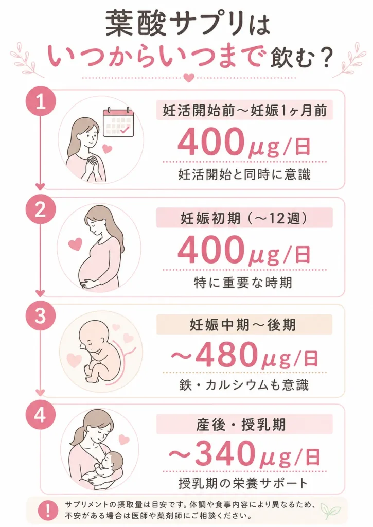 葉酸サプリを飲む時期の目安を妊活期から授乳期まで示した図解