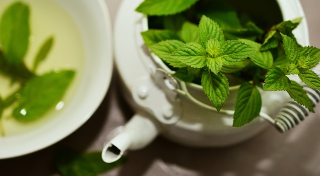 緑茶の防臭・消臭効果とは？