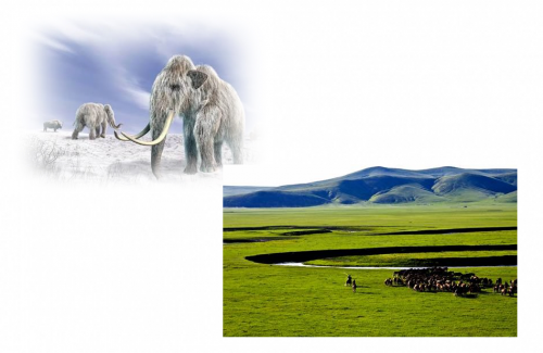 最終氷河期の2万年くらいになると、蒙古高原に住む人々の中にアポクリン腺が退化する人々が現れてきました