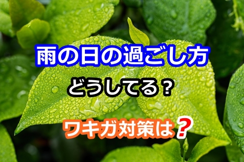 雨の日の過ごし方どうしてる?ワキガ対策は?