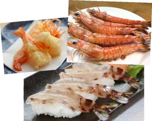 秋の海産物料理では車エビの天ぷらや塩焼きお寿司もいいなぁ