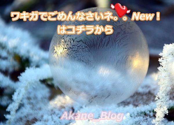 akane-blog_newwakiga006.jpg