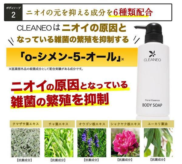 newcleaneo_a005.jpg