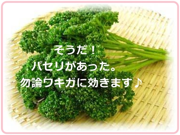 parsley_vvvv9987.jpg