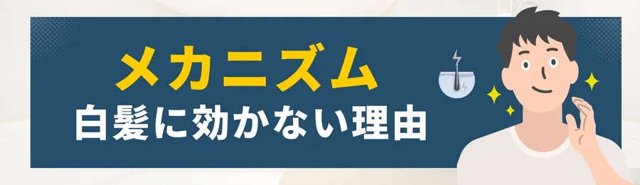 第2章：メカニズム — レーザーが白髪に効かない理由