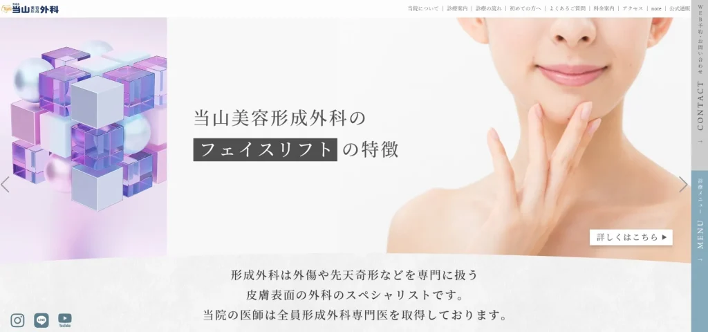 当山美容形成外科 婦人科形成