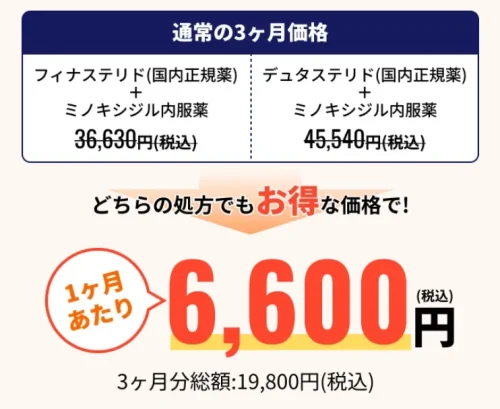 1ヶ月あたり6,600円 (税込) 3ヶ月分総額:19,800円(税込)